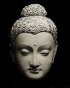 Siddhartha