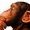 Thethinker14