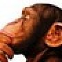 Thethinker14