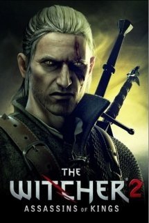 The witcher 2