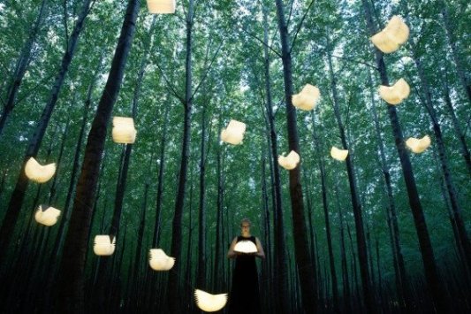 Imagen promocional de la lámpara libro Lumio ambientada en un bosque.