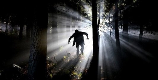 Hombre perdido en el bosque de noche a contraluz.