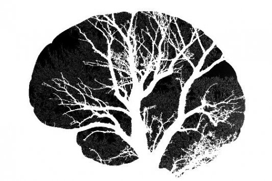 Perfil de un cerebro humano con un árbol en su interior.