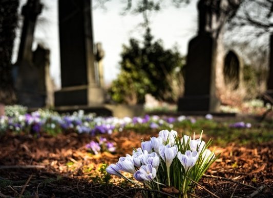 Flores en el cementerio.