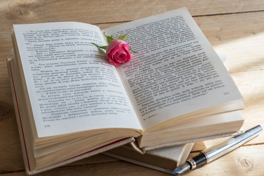 Un libro y una rosa
