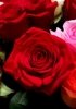 Fundamentales de la Novela Romántica